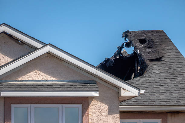 Top rated local Fire Damage Removal specialists in Joint Base Mdl, NJ